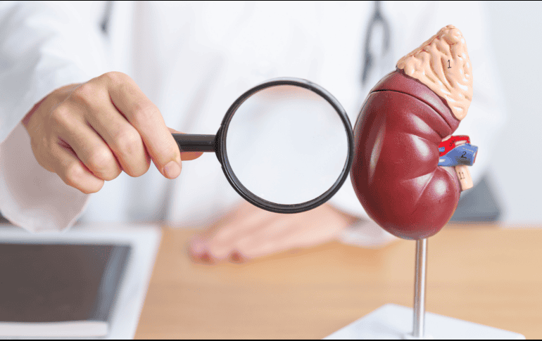 Una buena alimentación desempeña un papel fundamental en la salud renal. ESPECIAL/CANVA