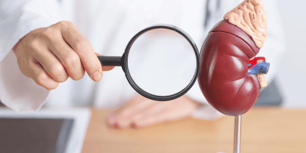 Salud: ¿Cuáles son las señales que indican problemas en los riñones ...