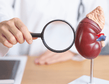 Una buena alimentación desempeña un papel fundamental en la salud renal. ESPECIAL/CANVA