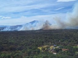 Los incendios forestales se están recrudeciendo en México. ESPECIAL/ Semadet