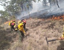 Un grupo de 114 brigadistas de los tres niveles de gobierno lucharon para sofocar las llamas. TWITTER/ @ReporteForestalJalisco