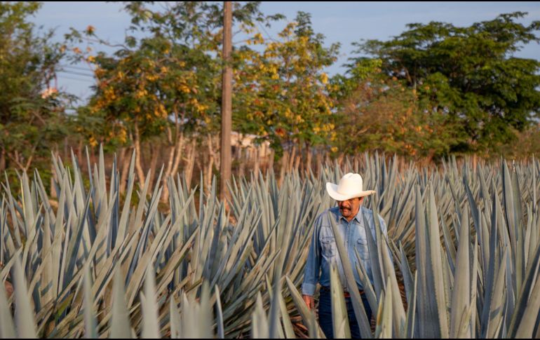 El gobernador del estado confirmó del presidente municipal con licencia de Pihuamo. FACEBOOK / Humberto Amezcua