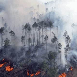 Paraguay registra más de cien incendios forestales en medio de olas de calor