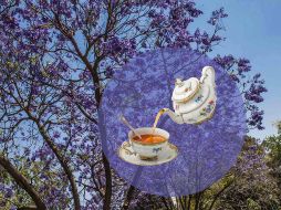 Prueba esta infusión novedosa y disfruta de sus grandes beneficios a la salud. SUN / ARCHIVO