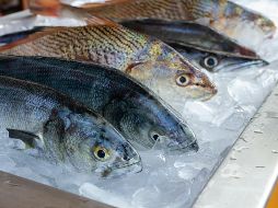 Saber elegir productos del mar de buena calidad es la clave para cuidar la salud. Foto de C. Igisk en Unplash