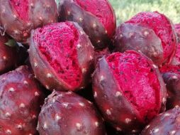 La pitaya no solo es valorada por su delicioso sabor y su importante papel en la economía del campo, también por sus propiedades nutricionales. EL INFORMADOR / M. VARGAS