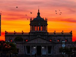 Jalisco es el segundo estado en el país con la presencia de esta enfermedad. ESPECIAL / PEXELS Abraham