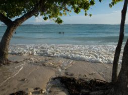 Cuando el Pacífico está frío los huracanes tienden a hacerse más frecuentes en el Caribe y 
