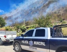 El detenido quedó a disposición de un agente del Ministerio Público del Área de Delitos Ambientales. ESPECIAL/Comisaría de Zapopan