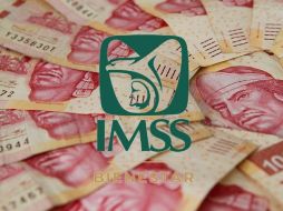 Sí actualmente aún te encuentras trabajando para una persona moral, es decir una empresa, te deben de entregar tu pago de utilidades a más tardar el 20 de mayo de este 2024. ESPECIAL.