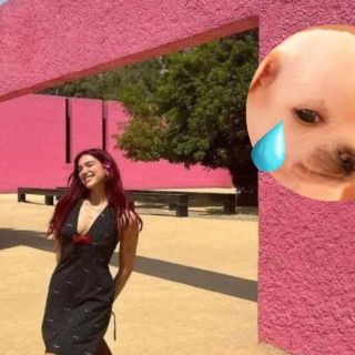 Dua Lipa visita la UNAM y las redes sociales se llenan de memes