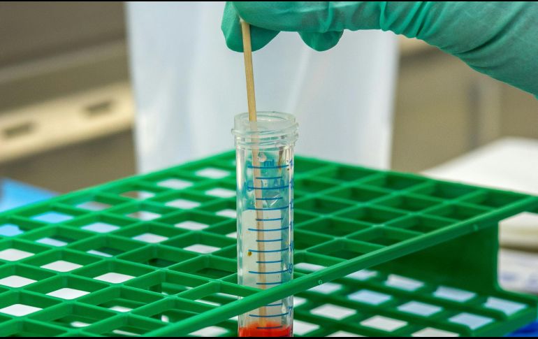 La elección de un estilo de vida saludable es clave. ESPECIAL / CDC