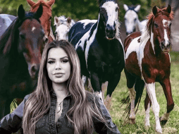 En 2017 Elena construyó Cuacolandia con el objetivo de velar por la vida de caballos, yeguas, mulas y burros que habían sido abandonados o sufrido maltrato. FACEBOOK/Elena Larrea