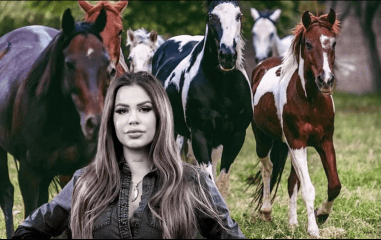 En 2017 Elena construyó Cuacolandia con el objetivo de velar por la vida de caballos, yeguas, mulas y burros que habían sido abandonados o sufrido maltrato. FACEBOOK/Elena Larrea