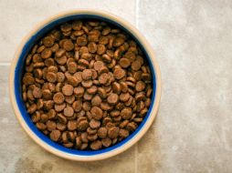 Cuida a tu mascota seleccionando el mejor alimento. Unsplash