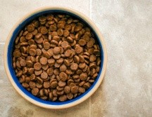 Cuida a tu mascota seleccionando el mejor alimento. Unsplash