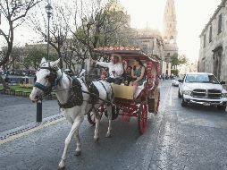 Las calandrias con tracción animal han sido parte de los atractivos del Centro Histórico desde hace un siglo, de acuerdo con el cronista Juan José Doñán. EL INFORMADOR