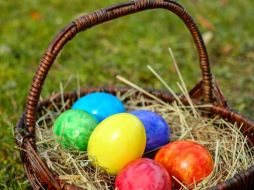 Esta divertida actividad se realizará en el Rancho San Juan Diego ubicado en San Sebastián el Grande en Jalisco, lugar que se dedica a sembrar una gran variedad de flores de temporada y es abierto al público para que puedan pasar un día agradable. Pixabay