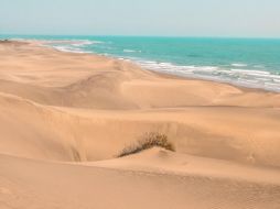 Esta playa ubicada en el Estado de Veracruz es un excelente destino turístico para estas próximas vacaciones de Semana Santa. X/@VeracruzTurismo.