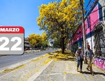 Jalisco espera cielo despejado durante el día y sin lluvia en la región. EL INFORMADOR / A. Navarro