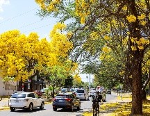 EL INFORMADOR/ A. Navarro