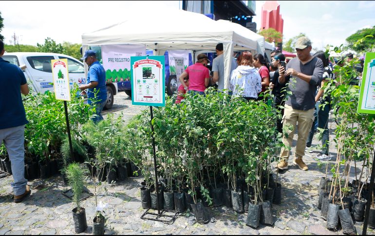 La asociación impulsa la donación de árboles a la ciudadanía tapatía: en promedio, Bosque Urbano de Extra hace entrega de mil árboles por día. EL INFORMADOR / ARCHIVO