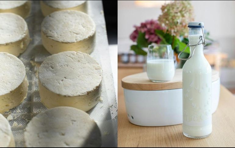 Por el contenido en agua, el queso blando o tierno se conserva menos tiempo que el curado. UNSPLASH / B. Kunz /  Z. Schaeffer