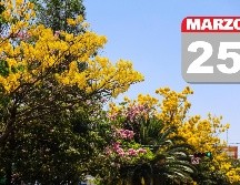 Clima en Guadalajara: Cielo despejado con temperaturas e índice UV altos por la tarde. EL INFORMADOR / ARCHIVO