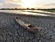 Las lluvias registradas no fueron suficientes para moderar sequías hasta el 15 de marzo de 2024. EFE/ ARCHIVO
