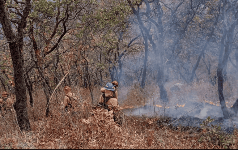 Al momento el incendio es atendido por 135 bomberas y bomberos forestales de la Semadet y otras dependencias. X/@ReporteForestal