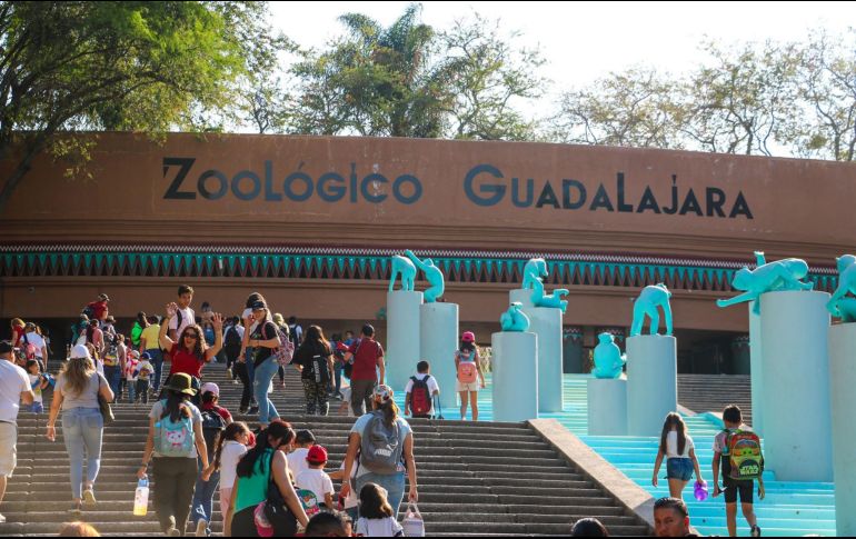 El Zoológico cuenta con alrededor 5,000 animales de 300 diferentes especies de todos los continentes. EL INFORMADOR/ ARCHIVO.