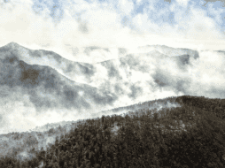 Este martes 26 se reporta un porcentaje notable en el control y la liquidación, informó Daniel Barrera. X/@EstadoLuz_