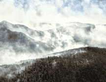 Este martes 26 se reporta un porcentaje notable en el control y la liquidación, informó Daniel Barrera. X/@EstadoLuz_