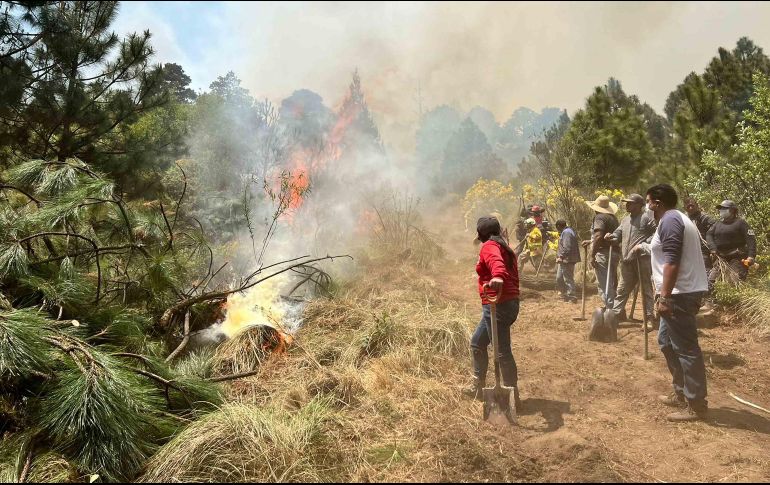 se informó que en lo que va de este año, se han reportado al menos 289 incendios forestales. SUN/ARCHIVO
