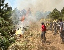 se informó que en lo que va de este año, se han reportado al menos 289 incendios forestales. SUN/ARCHIVO