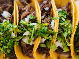 Los tacos son uno de los pilares de la gastronomía mexicana. Unsplash.