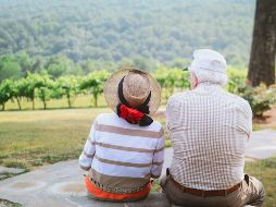 El investigador de la Facultad de Medicina de la Universidad de Stanford, Irving Weissman, uno de los autores del presente estudio, aisló estas células madre adultas en ratones y humanos a finales de los años ochenta. UNSPLASH / C. Bowen