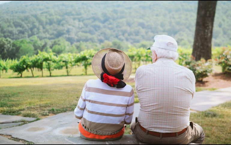 El investigador de la Facultad de Medicina de la Universidad de Stanford, Irving Weissman, uno de los autores del presente estudio, aisló estas células madre adultas en ratones y humanos a finales de los años ochenta. UNSPLASH / C. Bowen