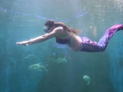 Esto será durante todas las vacaciones de Semana Santa y Pascua. ESPECIAL / ZOOLÓGICO DE GUADALAJARA