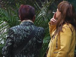 Los fumadores tiran las colillas de los cigarros que consumen en el suelo de parques, plazas, calles, playas y ríos, sin conocer el verdadero efecto que está generando en su entorno. SUN / ARCHIVO