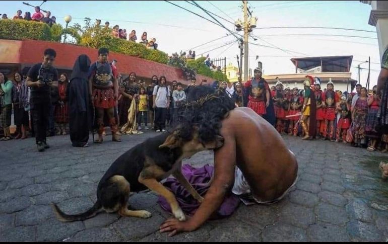 Usuarios de redes sociales como Facebook y X, se conmovieron por las imágenes y comentaron  “y por eso cualquier perrito es mucho mejor persona que cualquier ser humano