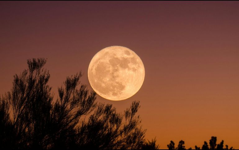 La luna ha presentado tonos rojizos inusuales en las últimas noches, en contraste con su color habitual. Unsplash.