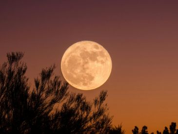 La luna ha presentado tonos rojizos inusuales en las últimas noches, en contraste con su color habitual. Unsplash.