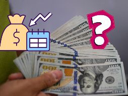 De acuerdo con un reporte de Bloomberg, el dólar comenzó la jornada de hoy por abajo de los 17 pesos. AFP / ARCHIVO