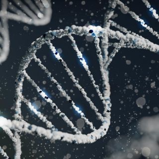 La edición genética a través de CRISPR-Cas9; ¿cómo funciona?