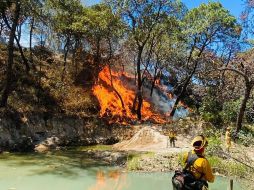Combaten incendio forestal dentro del Bosque La Primavera