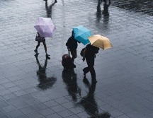 Toma precauciones, se acerca la temporada de huracanes en el atlántico y pacífico. Unsplash