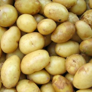 ¿Qué pasa si como papas todos los días?