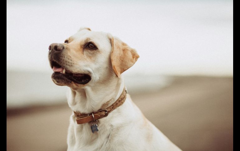 No cumplir con este requisito puedes incurrir en multas muy costosas. Unsplash