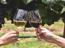 En este prestigioso certamen europeo, que tuvo su primera edición en 2009, el Viñedo San Miguel fue el único representante mexicano en recibir algún reconocimiento. CORTESÍA